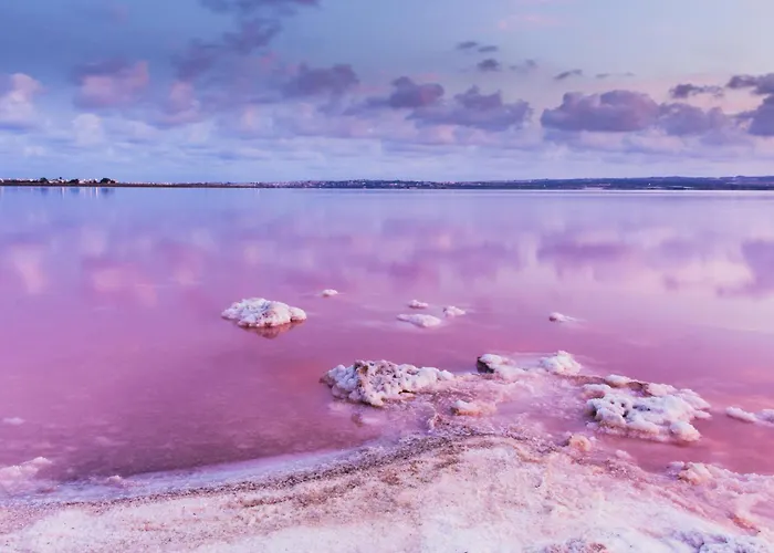 Cuba Libre - In The Center Of Torrevieja, Between Two Beaches Torrevieja