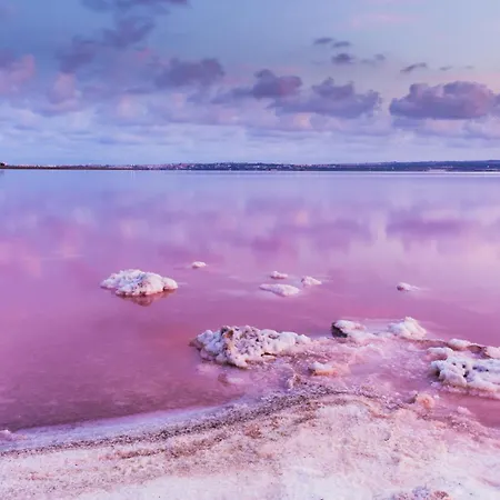 Cuba Libre - In The Center Of Torrevieja, Between Two Beaches Torrevieja
